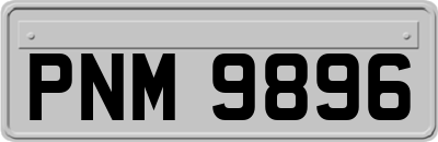 PNM9896