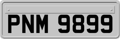PNM9899