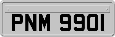 PNM9901