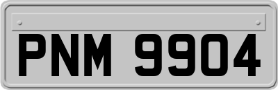PNM9904