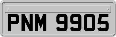 PNM9905