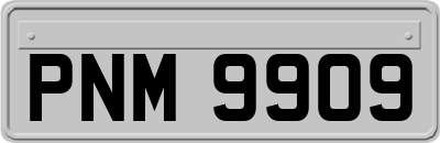 PNM9909