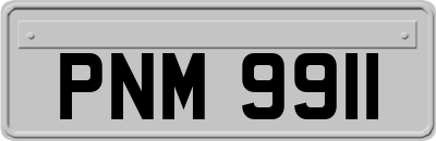 PNM9911