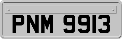 PNM9913