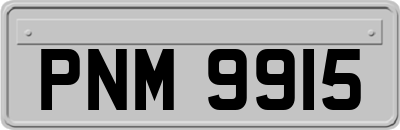 PNM9915