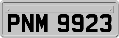 PNM9923