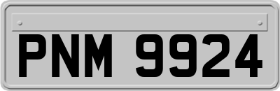 PNM9924
