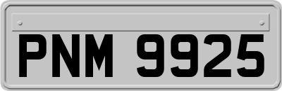 PNM9925