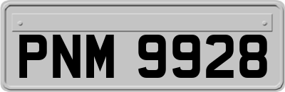 PNM9928