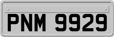 PNM9929