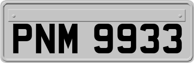 PNM9933