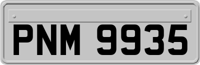 PNM9935