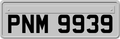 PNM9939