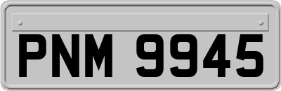 PNM9945