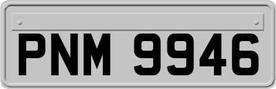 PNM9946