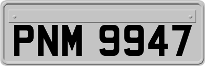 PNM9947
