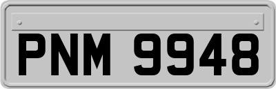 PNM9948