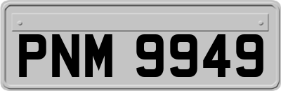 PNM9949