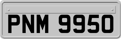 PNM9950
