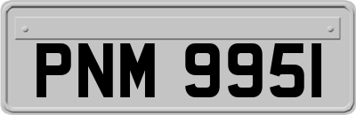 PNM9951