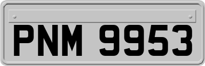 PNM9953