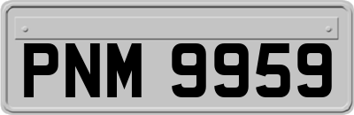 PNM9959
