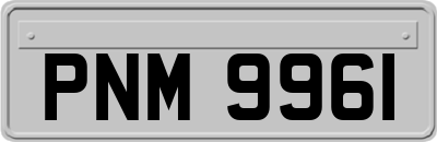 PNM9961
