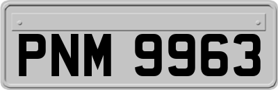 PNM9963
