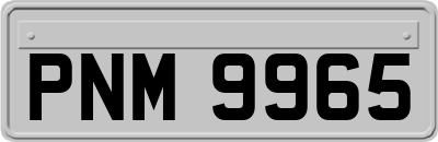 PNM9965
