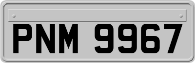 PNM9967