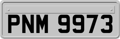 PNM9973