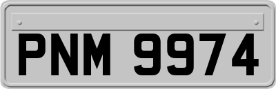PNM9974