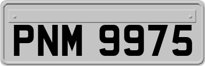 PNM9975