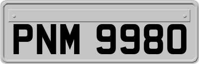 PNM9980