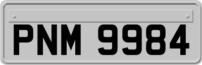 PNM9984