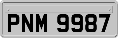 PNM9987