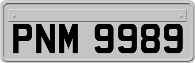 PNM9989