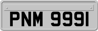 PNM9991