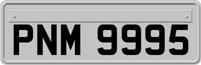 PNM9995