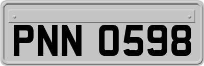 PNN0598
