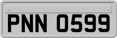 PNN0599