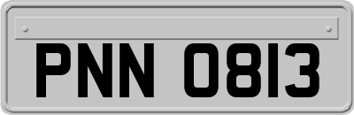 PNN0813