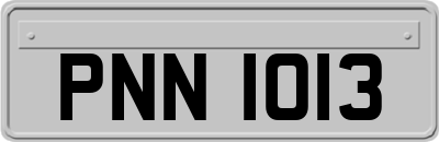 PNN1013