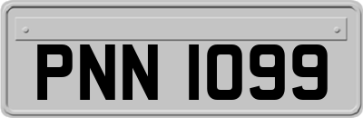 PNN1099