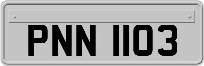 PNN1103