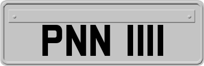 PNN1111