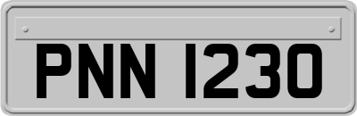 PNN1230