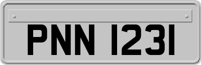 PNN1231
