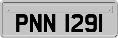 PNN1291