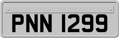PNN1299